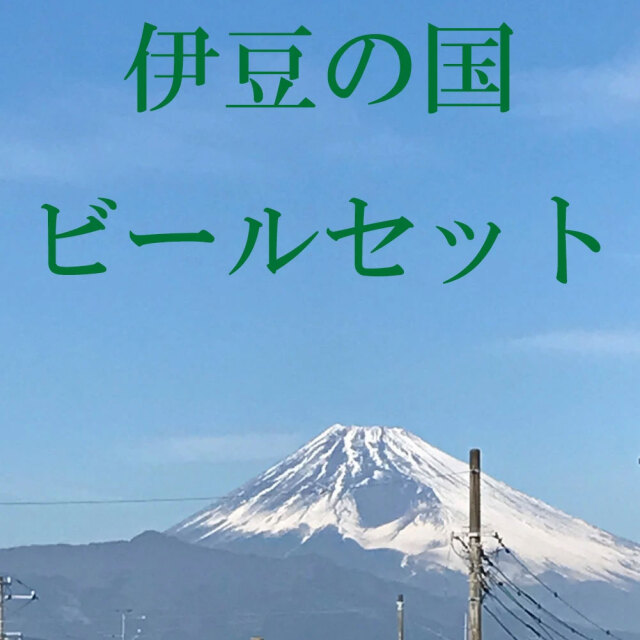 伊豆の国 ビール セット BEER おつまみ 酒 塩鰹