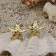 ハワイアンジュエリー　シルバースターフィッシュピアス　イエローシルバー