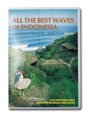 ALL THE BEST WAVE OF INDONESIA  9852/サーフィンDVD