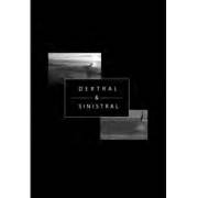 DEXTRAL & SINISTRAL デキストラルアンドシニスタラル/サーフィンDVD　ロングボード