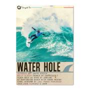 WATER HOLE ウォーターホール サーフィンDVD ショートボード