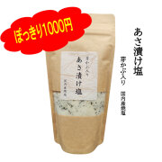 ぽっきり 1000円 あさ漬け塩 1パック 200g 万能塩 浅漬け 漬物 冷奴 バーベキュー 焼き魚 下味 おにぎり おうちごはん 自炊 グルメ お土産 送料無料 焼塩 国産塩 浅漬けの素 ソルト