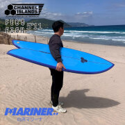 ショートボード 5'11 チャネルアイランズ フェブズフィッシュ