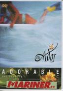 DVDボディボード