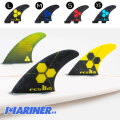 fcs2-ampc-3fin.jpg