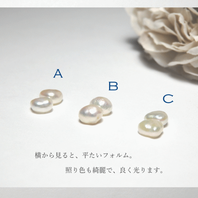 ちびちびバロックさん