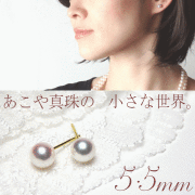 あこや真珠ピアス