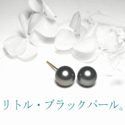 黒蝶真珠ピアス