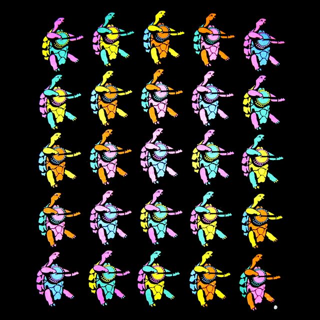 DANCING TERRAPIN LS T