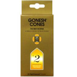 GONESH CONES NO.2
