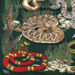 LOOK & TOUCH ADULT SNAKES T-SHIRTS