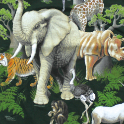 LOOK & TOUCH ADULT ZOOTIQUE T-SHIRTS M