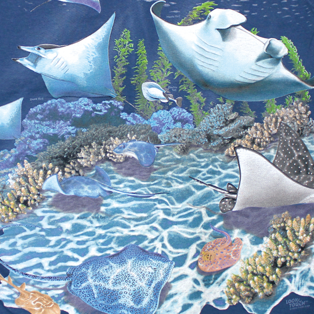 LOOK & TOUCH ADULT MANTA RAYS T-SHIRTS
