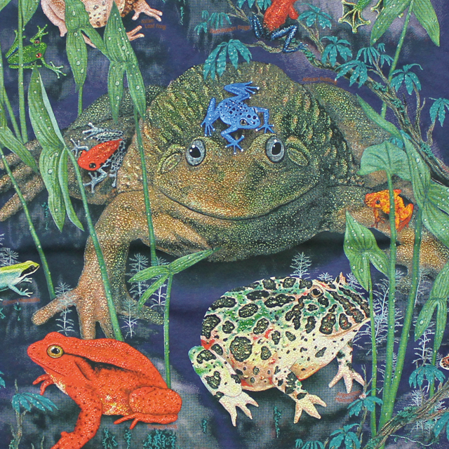 【送料無料】LOOK&TOUCH（ルックアンドタッチ）レインフォレスト　フロッグスTシャツ：LT1842 /RAINFOREST FROGS T-SHIRTS［半袖］