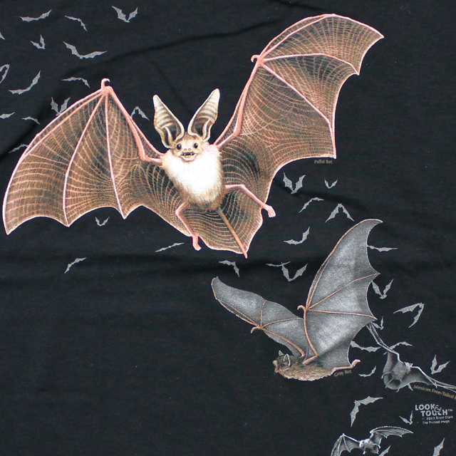 LOOK & TOUCH ADULT GOING BATTY T-SHIRTS M