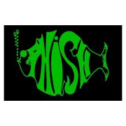 PHISH GREEN STICKER