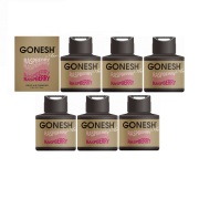 GONESH LIQUID RASPBERRY 6PCS / ガーネッシュ リキッド ラズベリー 6個セット / AIR FRESHENER 芳香剤
