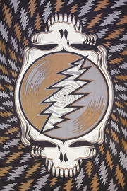 GRATEFUL DEAD SPIN YOUR FACE EARTH TAPESTRY