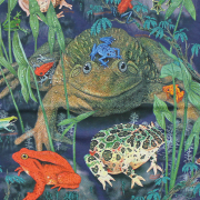【送料無料】LOOK&TOUCH（ルックアンドタッチ）レインフォレスト　フロッグスTシャツ：LT1842 /RAINFOREST FROGS T-SHIRTS［半袖］