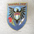 CROW & SHIELD T S