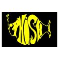 PHISH YELLOW STICKER