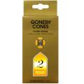 GONESH CONES NO.2