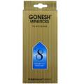 GONESH MINI STICKS NO.8