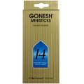 GONESH MINI STICKS NO.14