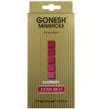 GONESH MINI STICKS RASPBERRY