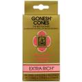 GONESH CONES CINNAMON