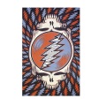 GRATEFUL DEAD SPIN YOUR FACE RWB TAPESTRY