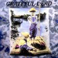 GRATEFUL DEAD TIE DYE T