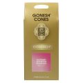 GONESH CONES RASPBERRY