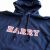 PHISH HOODED SWEAT