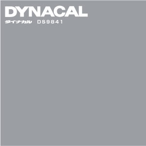 DS9841
