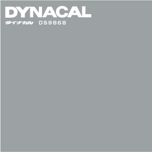 DS9868
