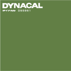 DS5961