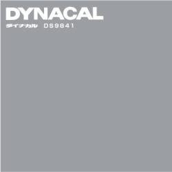DS9841