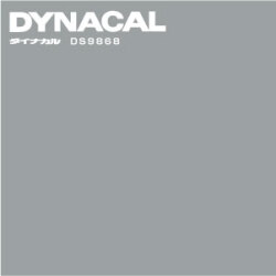 DS9868