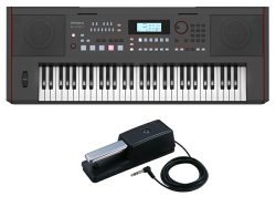 Roland E-X50 Arranger Keyboard ダンパーペダル/DP-10 セット（新品）【送料無料】【即納可能】【区分I】【梱P-2】