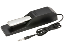 【即納可能】KORG DS-1H（新品）【送料無料】【区分A】