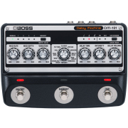 【即納可能】BOSS Delay Machine DM-101（新品）【送料無料】【区分B】
