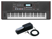 Roland E-X50 Arranger Keyboard ダンパーペダル/DP-10 セット（新品）【送料無料】【即納可能】【区分I】【梱P-2】