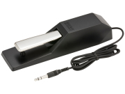 【即納可能】KORG DS-1H（新品）【送料無料】【区分A】