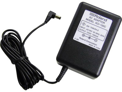 Roland ACI-100C(新品)【区分A】