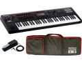 【即納可能／専用ソフトケース付】Roland FANTOM-06 + ダンパーペダル DP-10 セット 61鍵盤モデル（新品）【送料無料】【区分H】【梱P-2】