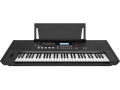 Roland E-X50 Arranger Keyboard（新品）【送料無料】【区分I】