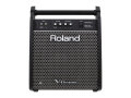 【即納可能】Roland PM-100（新品）【送料無料】【区分F】