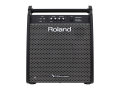 【即納可能】Roland PM-200（新品）【送料無料】【区分G】