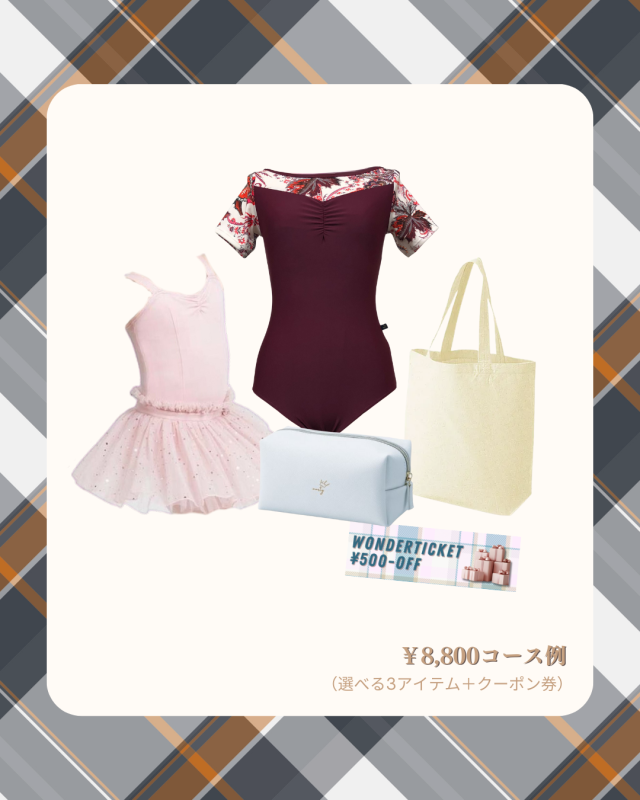 2025ワンダーバッグ 8800円コース